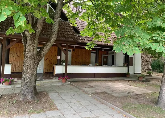 Platan Ueduelo Проживание в семье *