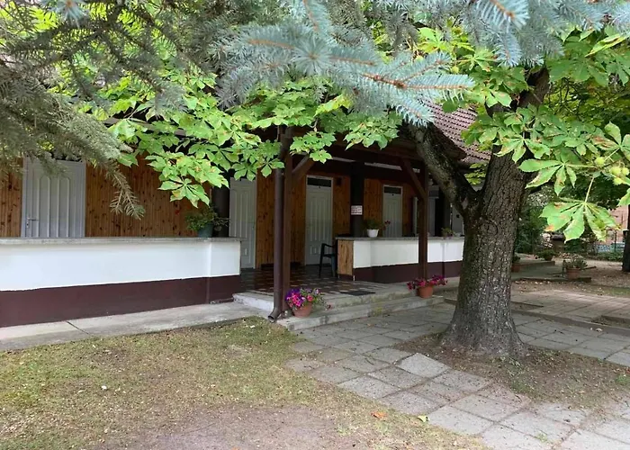 Проживание в семье Platan Ueduelo